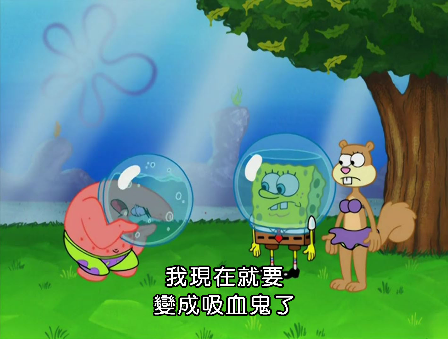「看懂貧血報告,記一個數字就夠:MCV」Facebook 貼文配圖