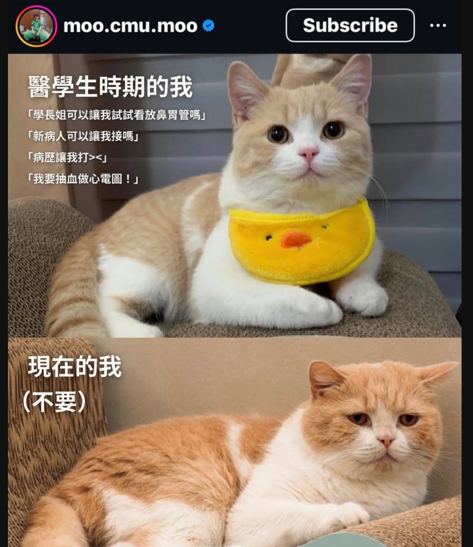 原始貼文配圖：成為醫療社畜的必經之路